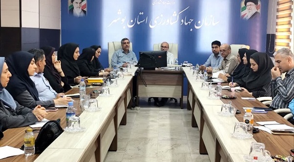 برگزاری کمیته استانی طرح مزارع الگویی در بوشهر