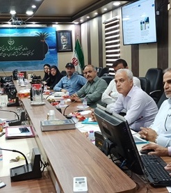 برگزاری نشست آموزشی تسهیل‌گران و کارشناسان بهزیستی استان با محوریت رسته‌های اولویت‌دار و توسعه اشتغال پایداربا کارشناسان مرکز تحقیقات بوشهر