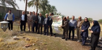 برگزار ی کارگاه آموزشی - ترویجی عوامل خسارت‌زای نخل