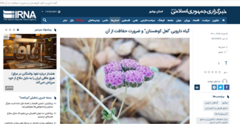 گیاه دارویی "لعل کوهستان" و ضرورت حفاظت از آن
