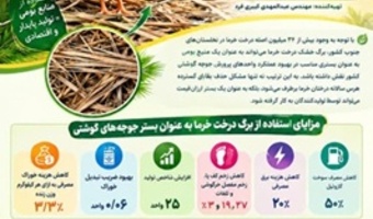 برگ درخت خرما به عنوان بستر جوجه های گوشتی