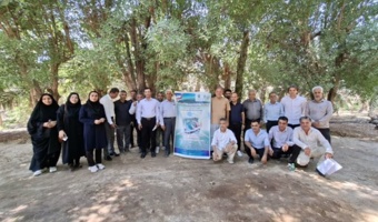 برگزاری کارگاه آموزشی -ترویجی مدیریت آفات گوجه‌فرنگی در شهرستان دیر