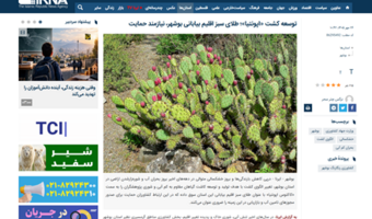 توسعه کشت «اپونتیا»؛ طلای سبز اقلیم بیابانی بوشهر، نیازمند حمایت