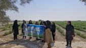 کارگاه آموزشی ترویجی تولید محصول گواهیشده در سایت الگویی آبدان