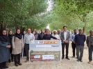 برگزاری روز مزرعه انتقال یافتههای تحقیقاتی با محوریت “مدیریت تلفیقی آفات و بیماریهای گوجه فرنگی