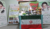 برگزاری نمایشگاه دستاوردهای پژوهشی مرکز تحقیقات بوشهر همزمان با هفته دولت