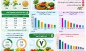 بذر هیبرید