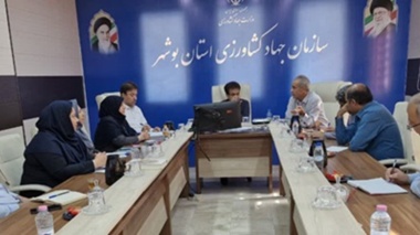 نشست کارگروه بررسی و تدوین الگوی کشت باغبانی