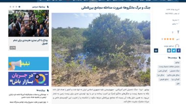 جنگ و مرگ مانگروها؛ ضرورت مداخله مجامع بین‌المللی
