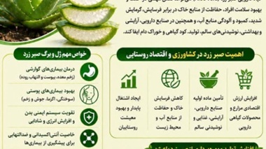 گیاه دارویی صبرزرد