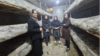 برگزاری کارگاه آموزشی-ترویجی پرورش قارچ دکمه‌ای در شهرستان ریز