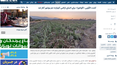 کشت الگویی «آلوئه‌ورا» برای احیای اراضی کم‌بازده جم بوشهر آغاز شد